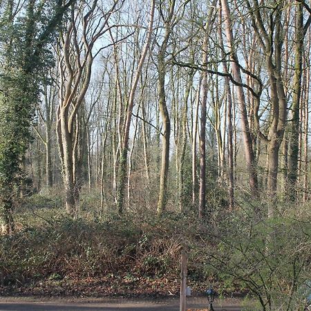 Gastenverblijf Peppelmate Doetinchem Exteriör bild
